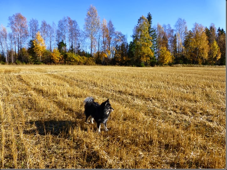 12.oktober 073