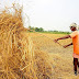 Bihar Land Reforms: Unlocking the Potential for Development