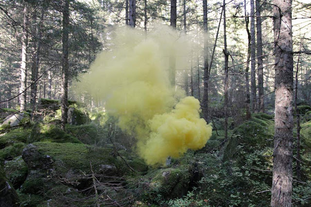 Silence/Shapes no. 2 by Filippo Minelli, an ongoing series of photos taken all over the world. fantasy photography forest, colored smoke, yellow smoke, smoke bomb, smoke grenade, photography