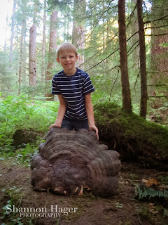 Shannon Hager Photography, Forest Portraits