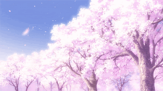 10 Gambar  Bunga  Sakura  Terpopuler Gambar  Animasi GIF SWF 