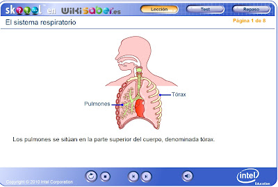 http://www.wikisaber.es/Contenidos/LObjects/breathing/index.html