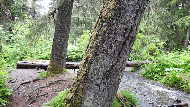 Alyeska & Alyeska Resort - Girdwood, AK