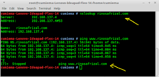 Instalasi dan konfigurasi DNS server pada Linux