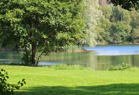 Vombsjön igen 005