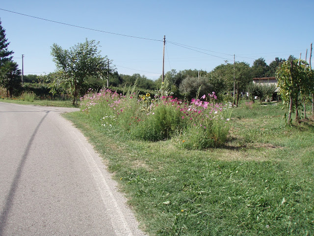 Orto fiorito lungo l'Itinerario cicloturistico I2 "Anello del Veneto"