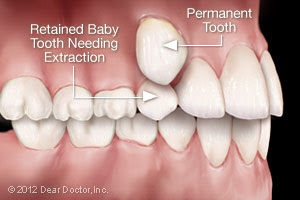 Dental Colleges in Kerala