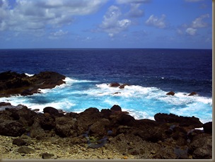 PICT0044