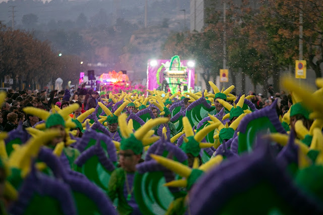 Imatge de la rua carnaval