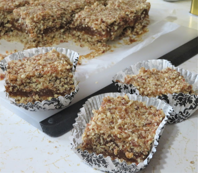 Raw Date Squares