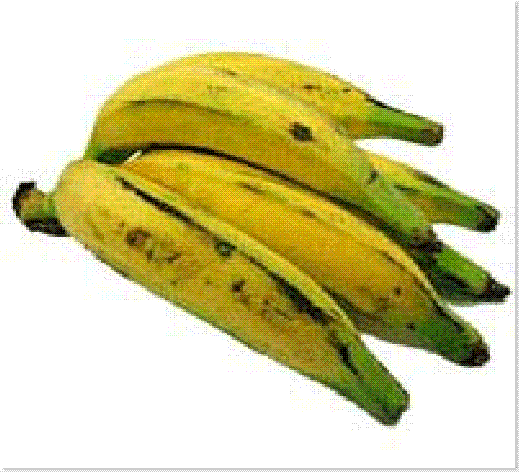 Banana_terra