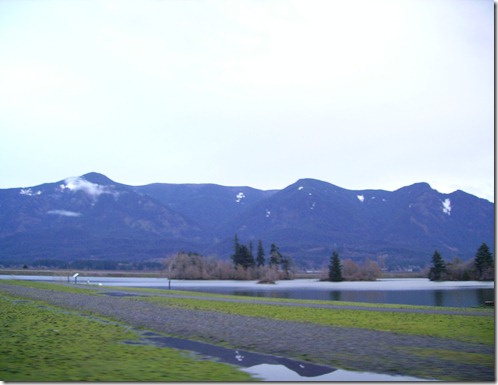 IMGP0144