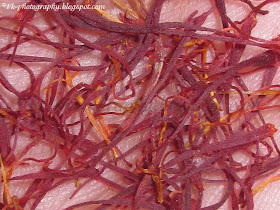 Spanish Saffron