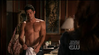 Brian Hallisay Shirtless on Privileged