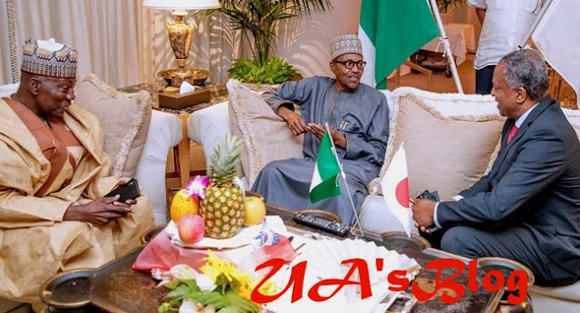 Presidency speaks on alleged protest against Buhari in Japan