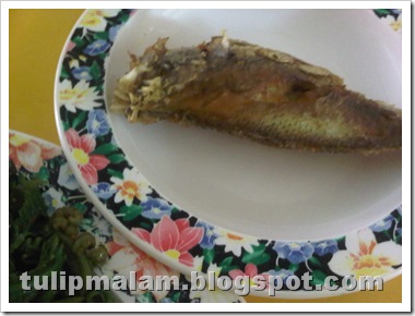 IMG01429-20110610-1248