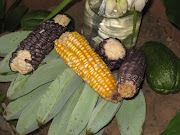 Corn by Jesus' cross