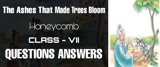 The Ashes That Made Trees Bloom Class 7 NCERT Solutions