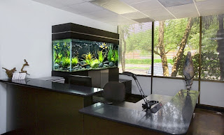 home aquarium, beautiful, elegant, trendy, stylish, interior decoration, images, pictures