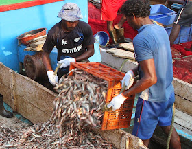 http://www.thenational.ae/uae/environment/fish-prices-on-the-rise-as-bad-weather-hampers-uae-fishermen