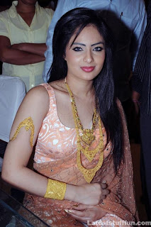 Niklesh Patel Hot Saree Stills