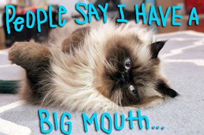 big-mouth-cat01