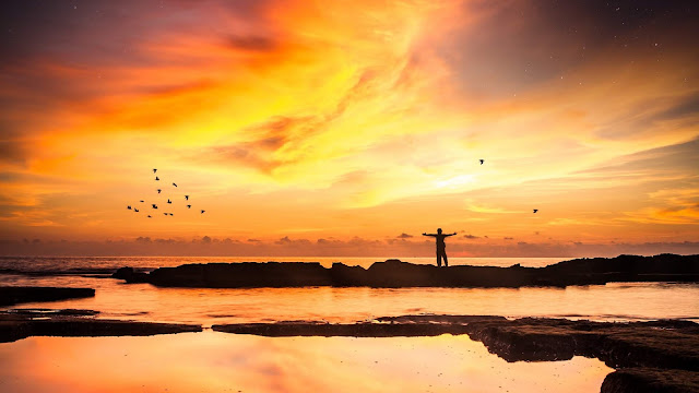 Freedom, Sunset, Silhouette, Loneliness, Horizon, Sea, Birds