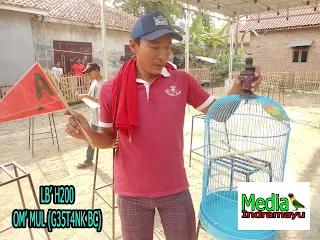 hasil lomba burung klaten, hasil lomba burung terbaru 2018, hasil lomba burung sragen, hasil lomba rajawali indonesia, burung new, jadwal lomba burung, daftar juara bnr semarang, hasil lomba agrobur, daftar juara bnr award 2017, daftar juara lomba burung kapolres cup sragen, kontes burung surabaya, video kontes burung lovebird, kontes burung murai, kontes burung anis, kontes burung kacer, kontes burung pleci, kontes burung kenari, kontes burung merpati, kontes burung konin, hasil lomba piala kapolres metro jakarta selatan, piala kapolres metro jakarta selatan, daftar juara piala kapolres metro jakarta selatan, daftar pemenang piala kapolres metro jakarta selatan, lovebird, burung lovebird, latber kasab bc, kasab bc, lokasi gantangan kasab bc, lokasi lapangan kasab bc, alamat kasab bc, jadwal latber kasab bc, jadwal latpres kasab bc, latpres kasab bc, pemenang latber kasab bc, pemenang latpres kasab bc, daftar juara latber kasab bc, daftar juara latpres kasab bc, daftar pemenang latber kasab bc, daftar pemenang latpres kasab bc, lovebird ncun ring sakti, lovebird anggun, lovebird sanca jr, kontes burung, kontes burung indramayu, kontes burung di indramayu, lomba burung indramayu, lomba burung di indramayu, hasil lomba latber lbc, daftar juara latber lbc, daftar pemenang latber lbc, daftar nama nama pemenang latber lbc, hasil lomba latpres lbc, daftar juara latpres lbc, daftar pemenang latpres lbc, kigoyang team, lovebird rocker, lb rocker, lovebird tantri, lb tantri, gestank bc, tim gestank bc, team gestank bc, lb h200, lovebird h200