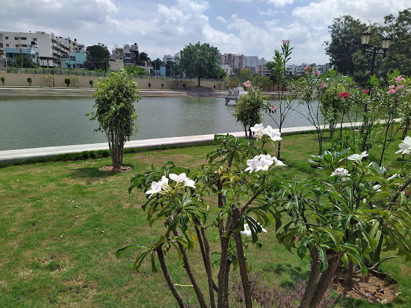 Vasanthapura Kalyani Pond , Bengaluru 3