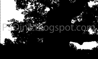 Cara Mudah Memisahkan Gambar Pohon dari Backgound