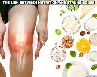 "The Link Between Nutrition and Strong Bones: What You Need to Know" - We delve into the specific nutrients that play a vital role in bone strength, such as calcium, vitamin D, magnesium, and vitamin K. We also provide a list of bone-boosting foods and recipes that are rich in these nutrients, making it easier for readers to incorporate them into their daily meals.