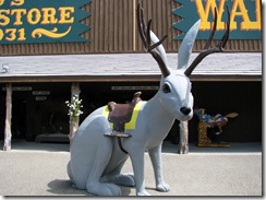 6863 Backyard at Wall Drug Wall SD