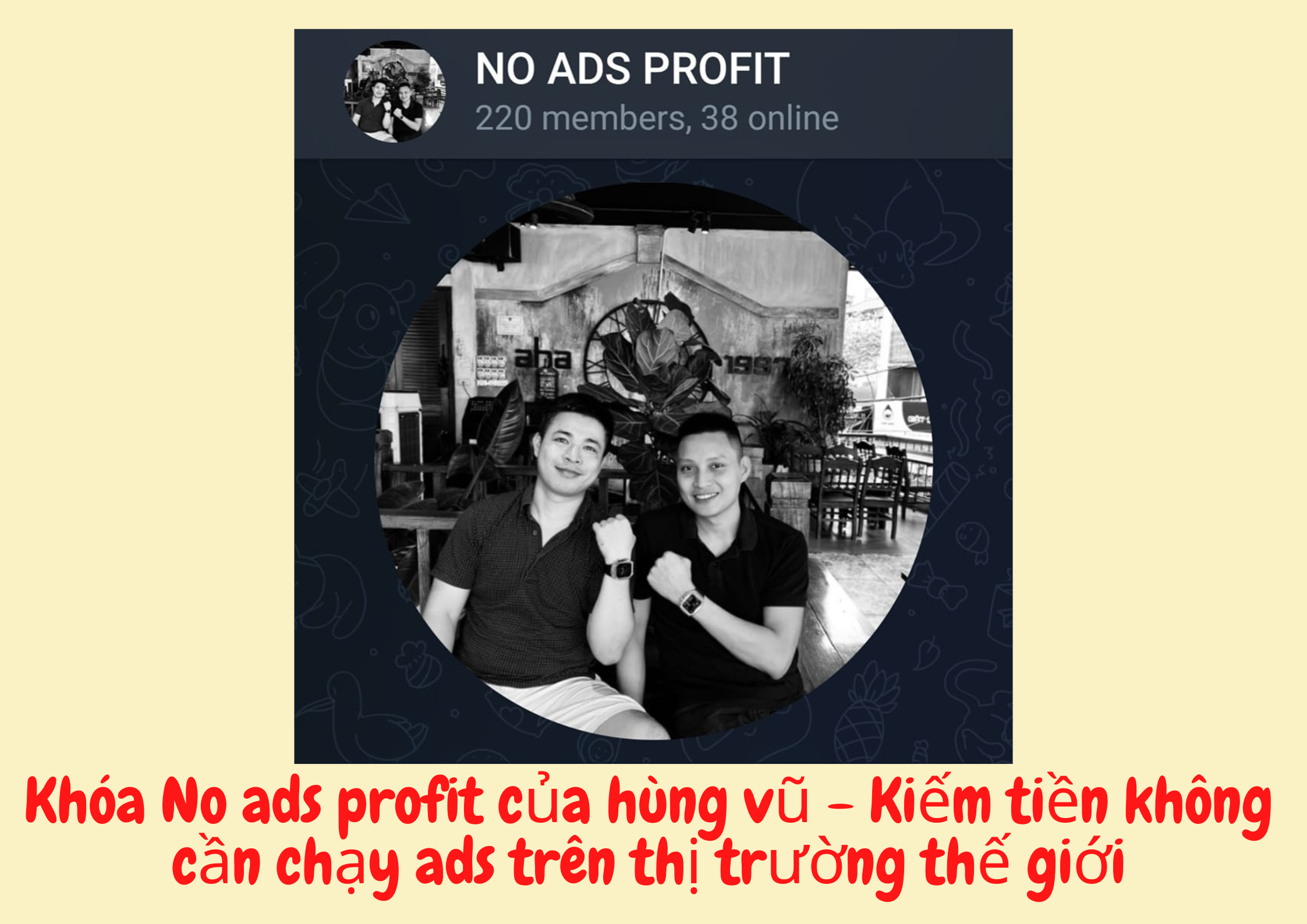 No Ads Profit Của Hùng Vũ Mang Về Doanh từ $200 cho đến $1000/ngày Không tốn 1 đồng tiền Ads