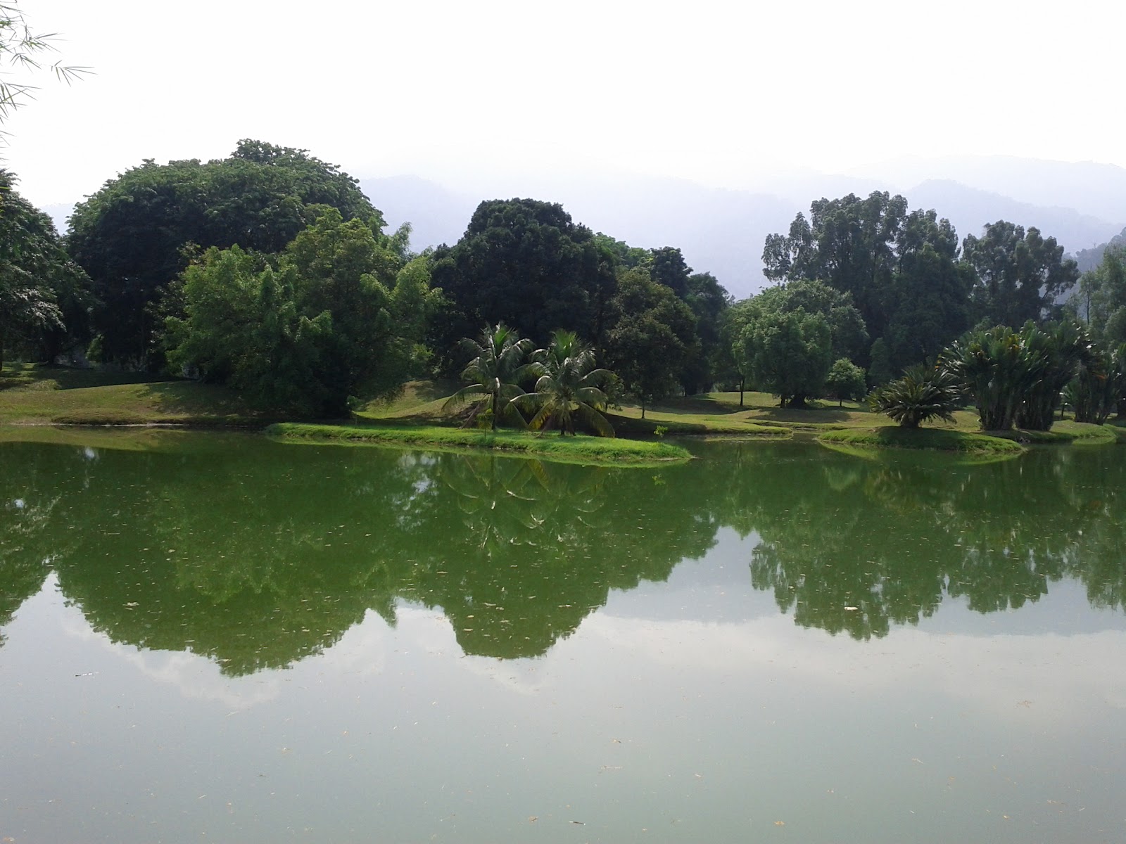 Hidup Ini Sementara Taman Tasik Taiping hijauuuu 