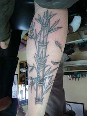 The Bamboo Tattoo Picture is courtesy of draggin and he is the Copyright 