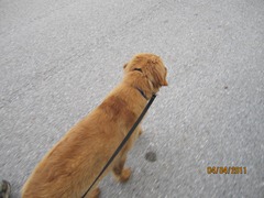 tanner shots 005