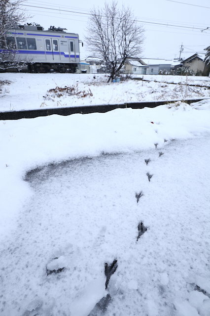 雪上の足跡と上高地線（下新-大庭）