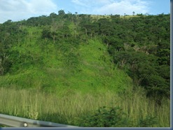 DSCF7151