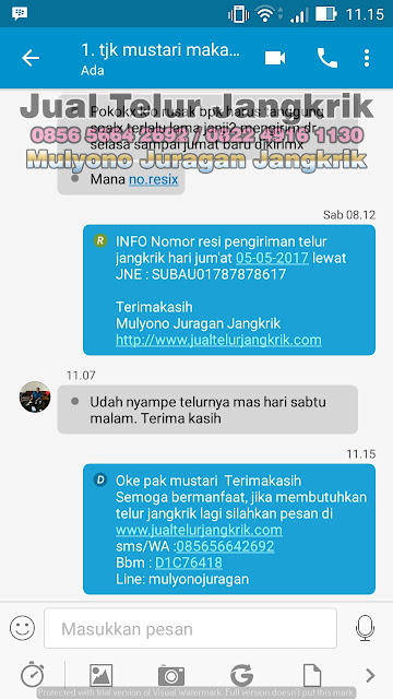 Part 4 Testimoni Ternak Jangkrik dari Pelanggan Telur Jangkrik