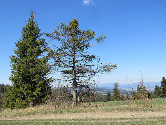 Widok na północny zachód