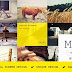 Moler - Full Screen Portfolio Template