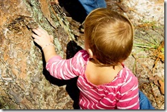 IMG_6588 IMG_6588