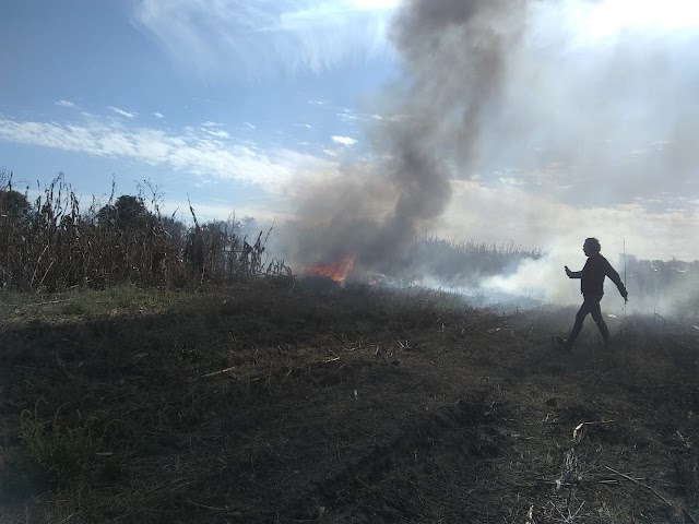 Muere Moreno Valle y Esposa