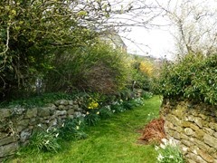 healaugh lane2