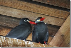 IMG_0553 copy