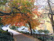 Location: Central Park, New York, NY, USA (central park fall )