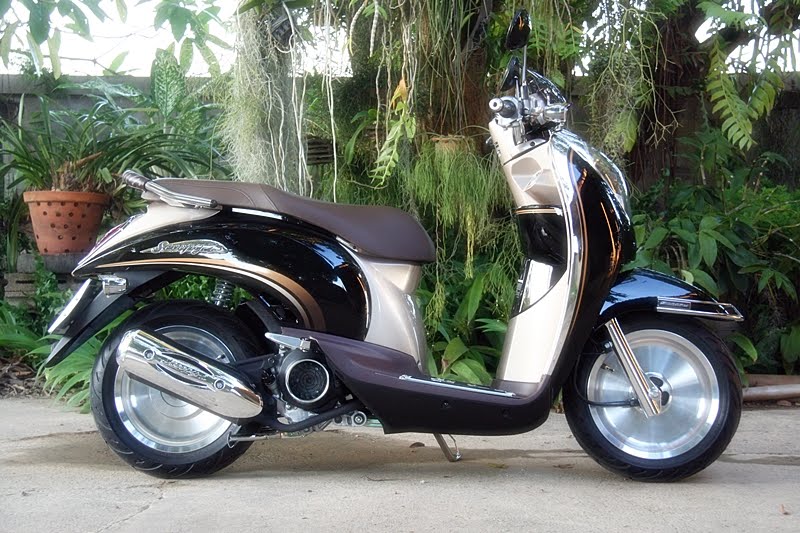  MODIFIKASI  HONDA SCOOPY  MODIFIKASI  freewaremini