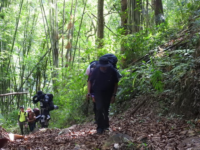 doi wiang pha national park, doi wieang pha national park, doi wiang pha, doi wieang pha,  doi wiangpha national park, doi wiengpha national park