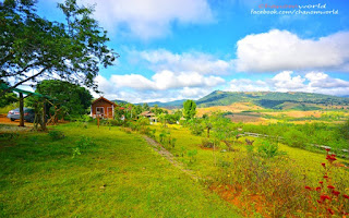  ภาพวิวตอนเช้าสวยๆ, ภาพดอกไม้ยามเช้าสวยๆ, ภาพยามเช้าสดใส, รูป ดอกไม้ สวัสดี ตอน เช้า, ภาพธรรมชาติยามเย็น, ภาพสวัสดีตอนเช้าสวยๆ, รูปพระอาทิตย์ขึ้นตอนเช้า, รูป ธรรมชาติ ยาม เช้า 2011, ภาพ ดอกไม้ สวย ๆ น่า รัก ๆ