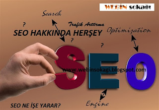 Seo Nedir Seo Nasıl Yapılır